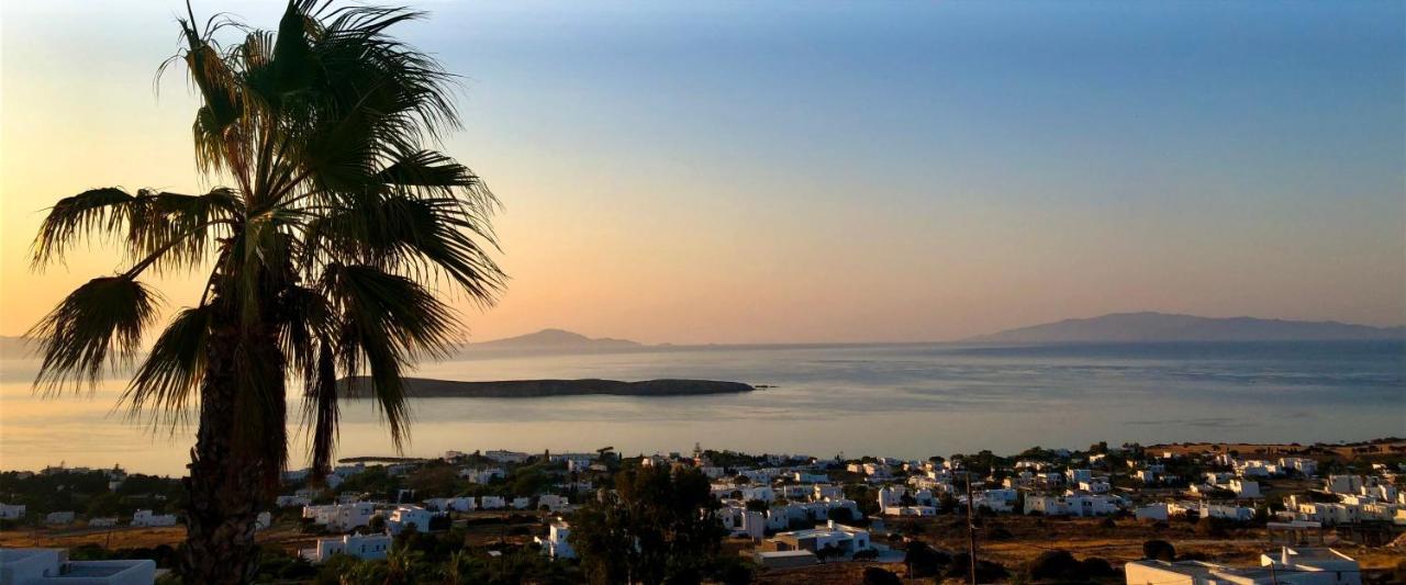 Villa Rossi Paros Luxury Apartments And Suites Drios Dış mekan fotoğraf