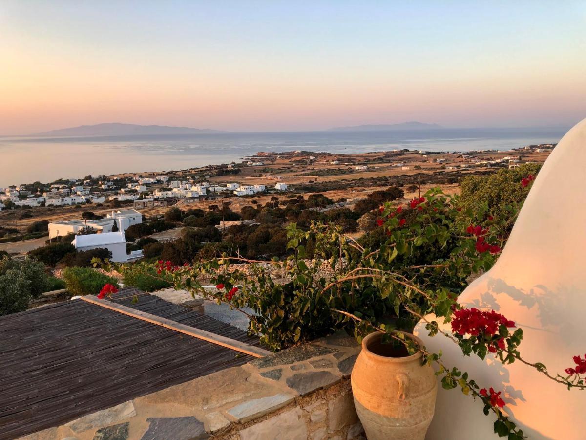 Villa Rossi Paros Luxury Apartments And Suites Drios Dış mekan fotoğraf