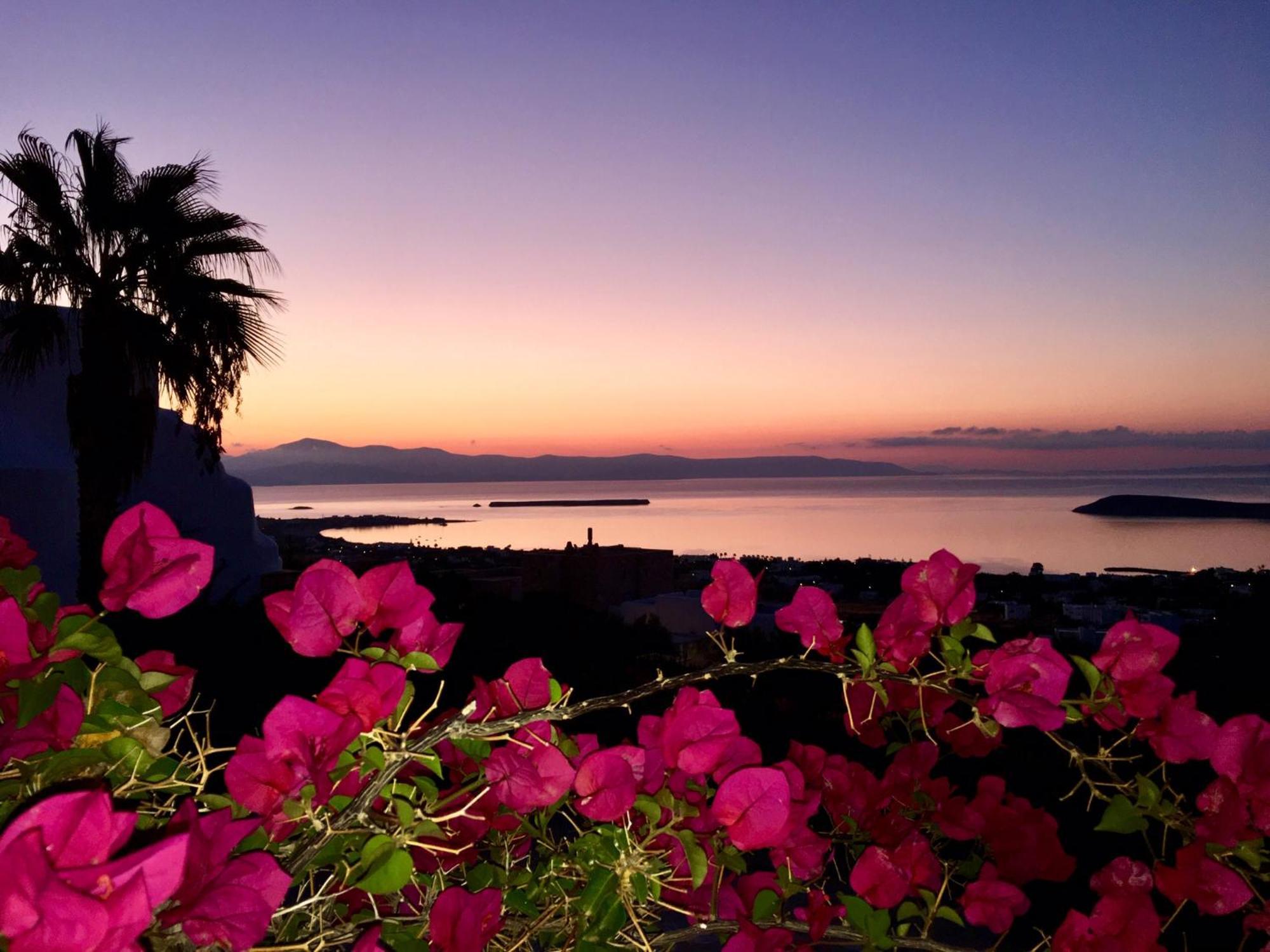 Villa Rossi Paros Luxury Apartments And Suites Drios Dış mekan fotoğraf